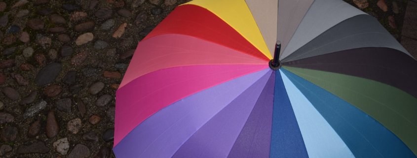 Umbrella Insurance Driggs, Idaho