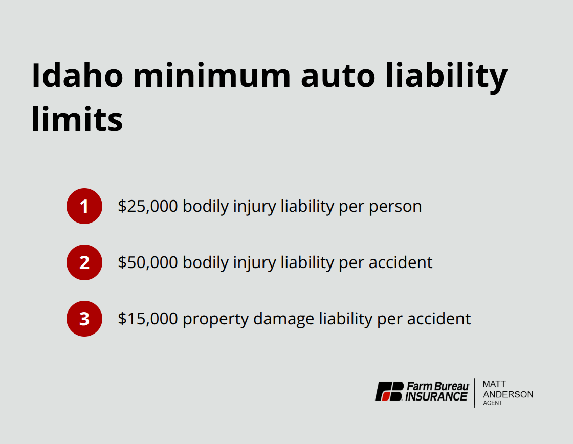 Required minimum coverage amounts in Idaho for teen drivers and families - Idaho teen driver insurance